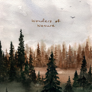 美国大片ppt免费少女
