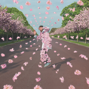 美国大片ppt免费少女
